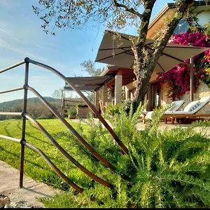 A Casa Di Olivo Villa Castelnuovo Magra